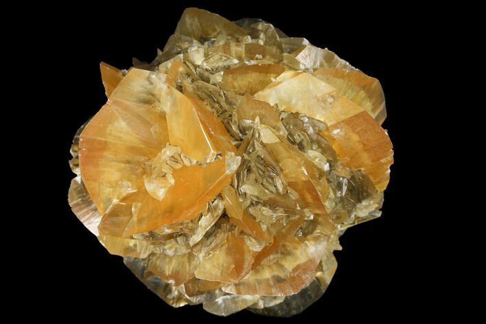 Twinned Selenite Crystals (Fluorescent) - Red River Floodway #130300